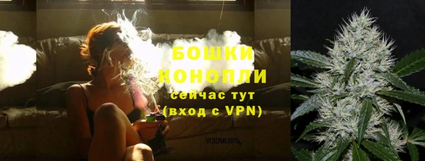 ешки Лагань