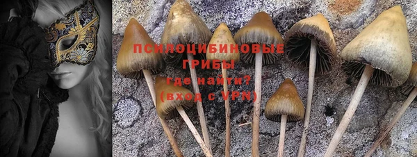 ешки Лагань