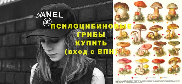 ешки Лагань