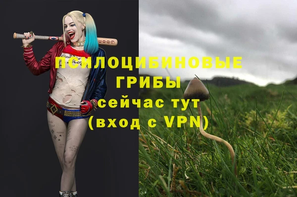 ешки Лагань