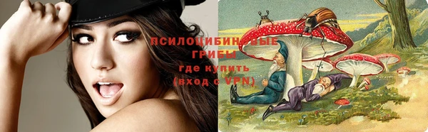 ешки Лагань