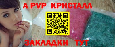 хмурый Кингисепп