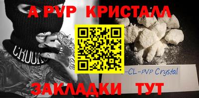хмурый Кингисепп